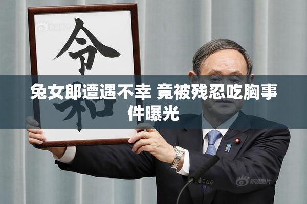 兔女郎遭遇不幸 竟被残忍吃胸事件曝光