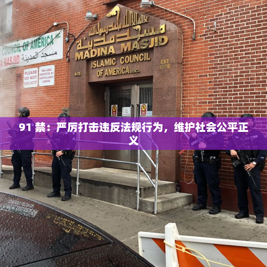 91 禁：严厉打击违反法规行为，维护社会公平正义