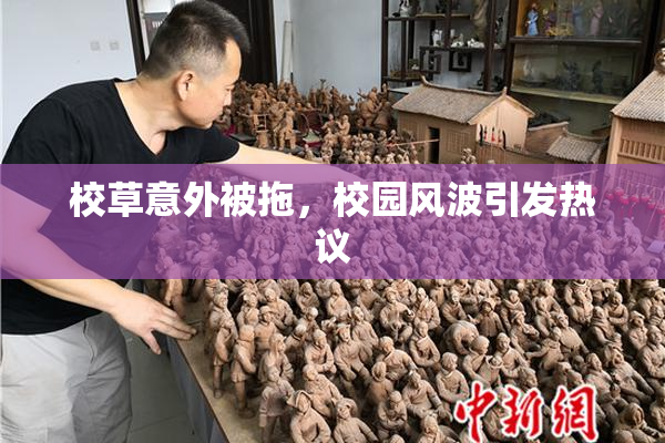 校草意外被拖，校园风波引发热议