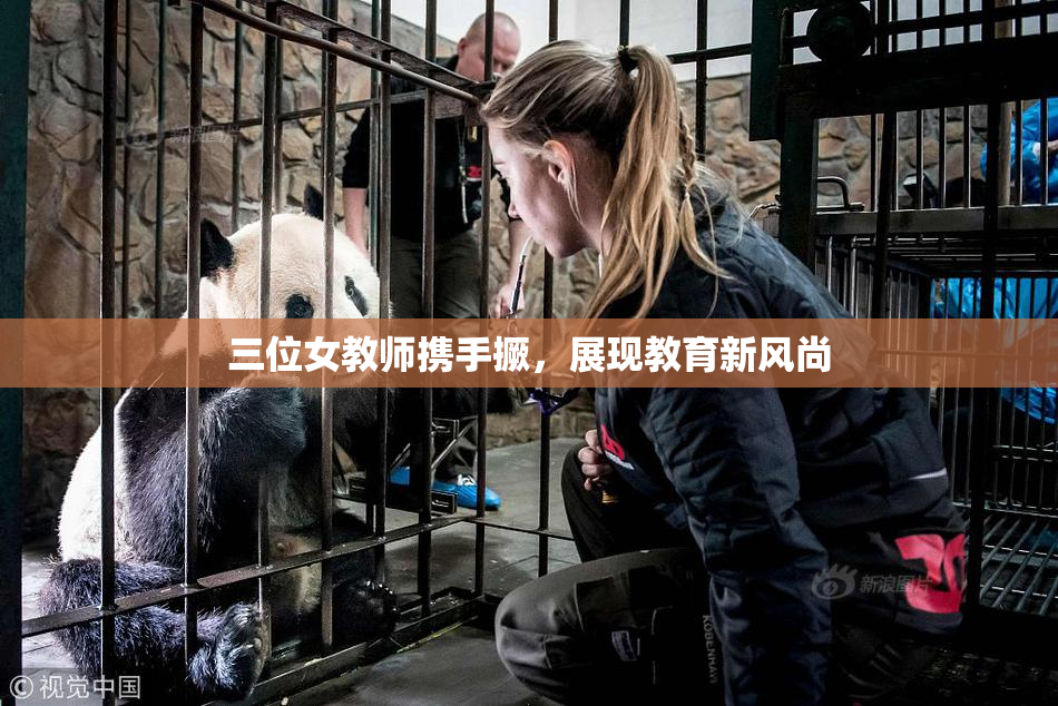 三位女教师携手撅，展现教育新风尚