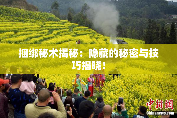 捆绑秘术揭秘：隐藏的秘密与技巧揭晓！