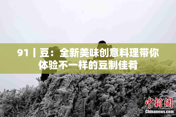 91丨豆：全新美味创意料理带你体验不一样的豆制佳肴