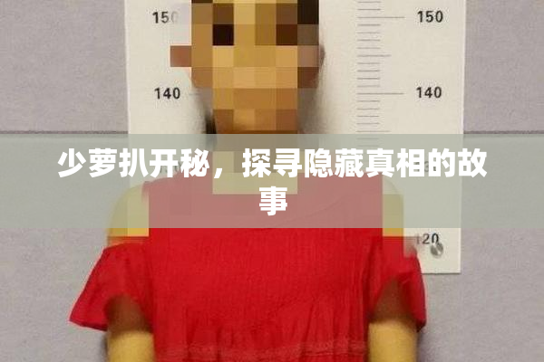 少萝扒开秘，探寻隐藏真相的故事
