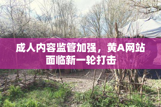 成人内容监管加强，黄A网站面临新一轮打击