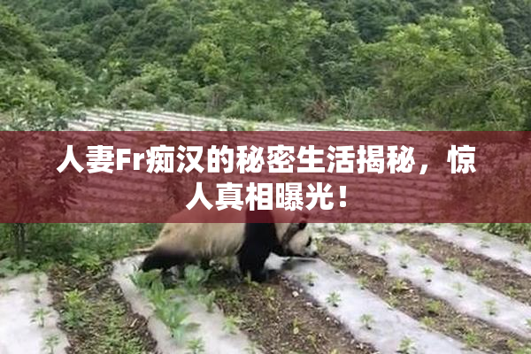 人妻Fr痴汉的秘密生活揭秘，惊人真相曝光！