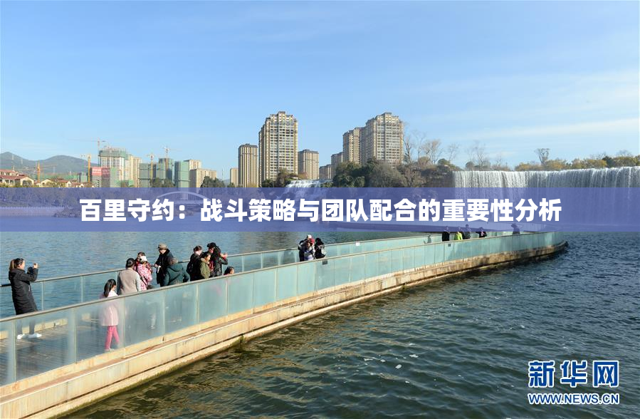 百里守约：战斗策略与团队配合的重要性分析