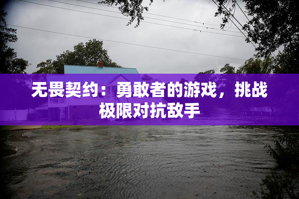 无畏契约：勇敢者的游戏，挑战极限对抗敌手