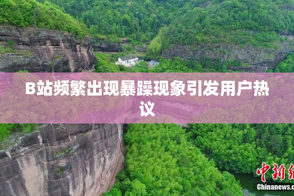 B站频繁出现暴躁现象引发用户热议