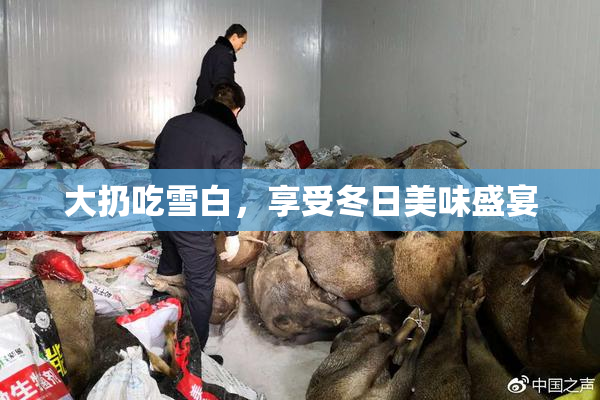大扔吃雪白，享受冬日美味盛宴