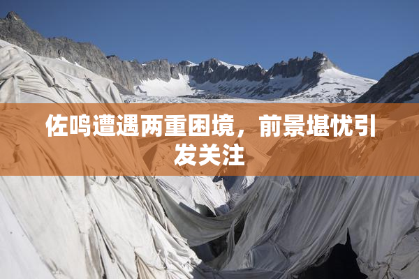 佐鸣遭遇两重困境，前景堪忧引发关注