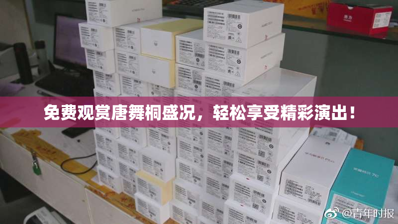 免费观赏唐舞桐盛况，轻松享受精彩演出！