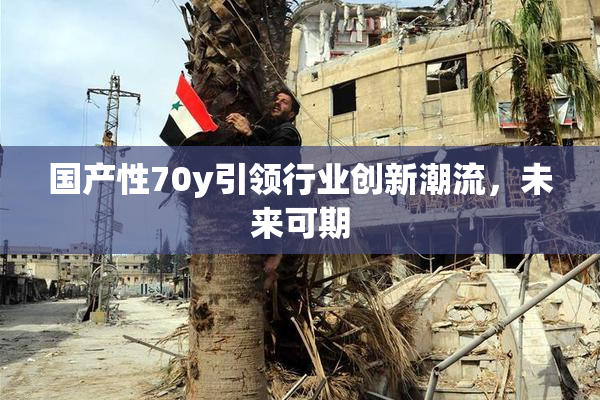 国产性70y引领行业创新潮流，未来可期