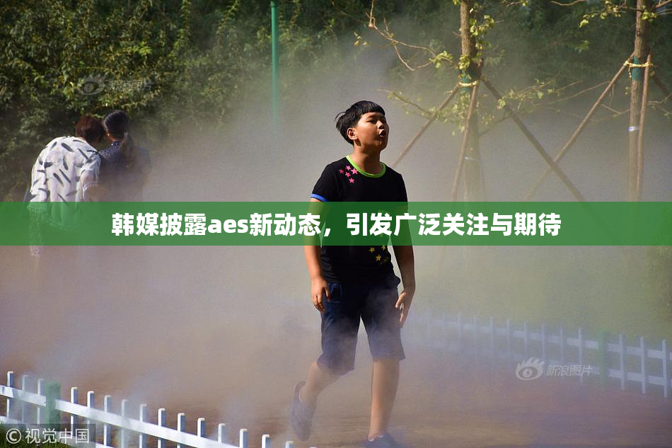 韩媒披露aes新动态，引发广泛关注与期待