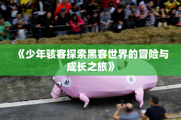 《少年骇客探索黑客世界的冒险与成长之旅》