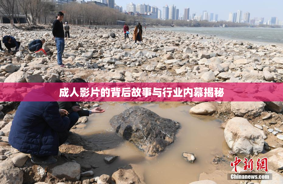 成人影片的背后故事与行业内幕揭秘
