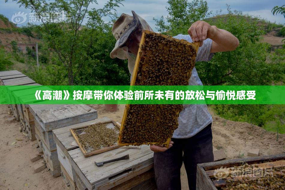 《高潮》按摩带你体验前所未有的放松与愉悦感受