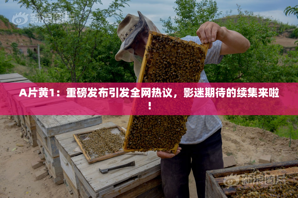 A片黄1：重磅发布引发全网热议，影迷期待的续集来啦!
