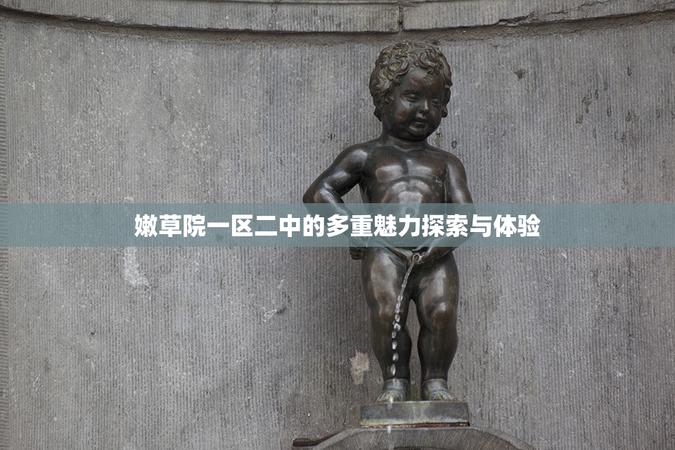 嫩草院一区二中的多重魅力探索与体验