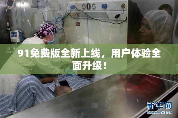 91免费版全新上线，用户体验全面升级！