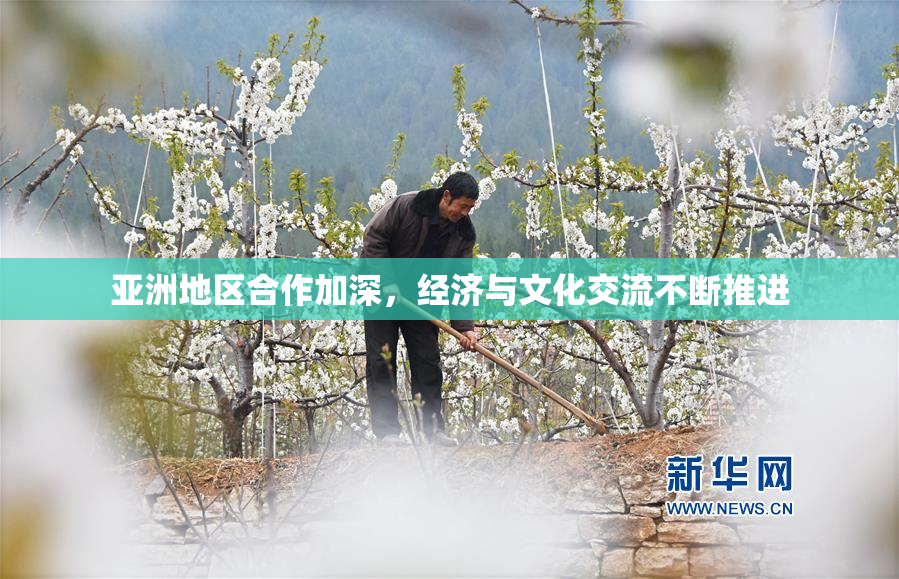 亚洲地区合作加深，经济与文化交流不断推进
