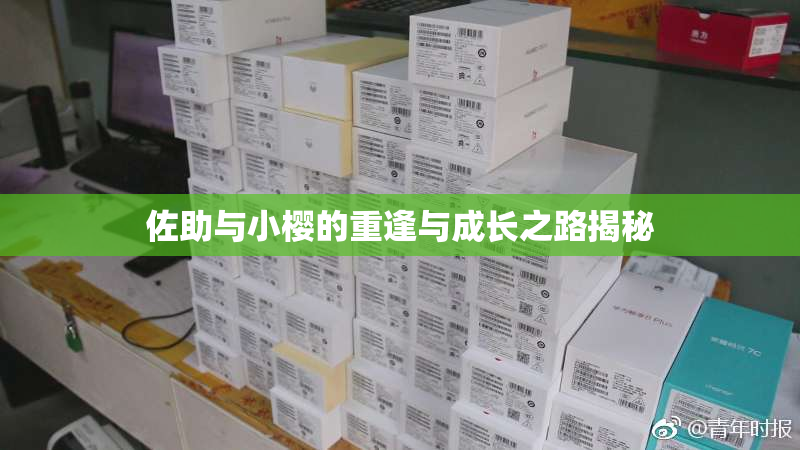 佐助与小樱的重逢与成长之路揭秘