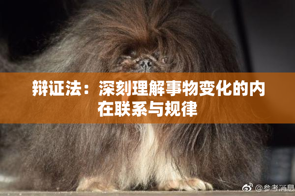 辩证法：深刻理解事物变化的内在联系与规律