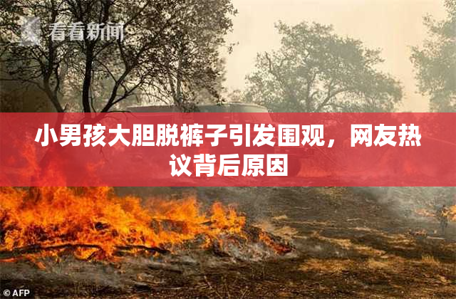 小男孩大胆脱裤子引发围观，网友热议背后原因