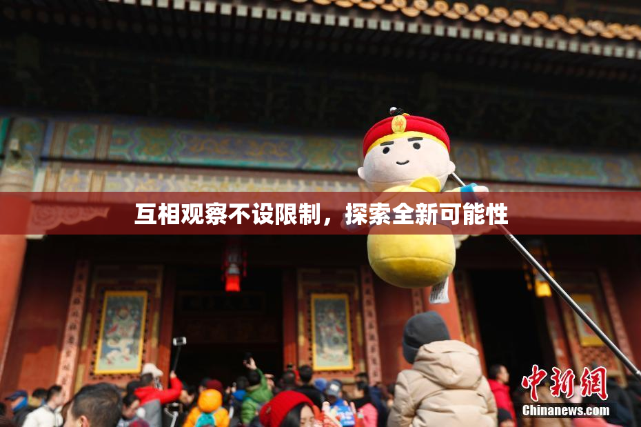 互相观察不设限制，探索全新可能性