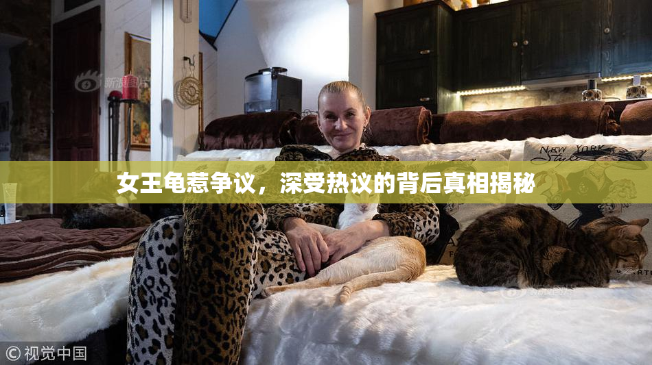 女王龟惹争议，深受热议的背后真相揭秘