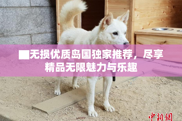 ▇无损优质岛国独家推荐，尽享精品无限魅力与乐趣