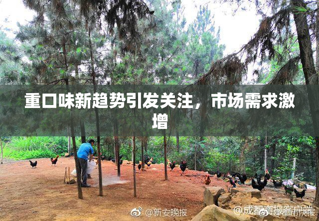 重口味新趋势引发关注，市场需求激增