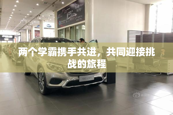 两个学霸携手共进，共同迎接挑战的旅程