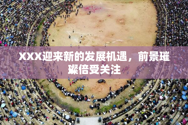 XXX迎来新的发展机遇，前景璀璨倍受关注
