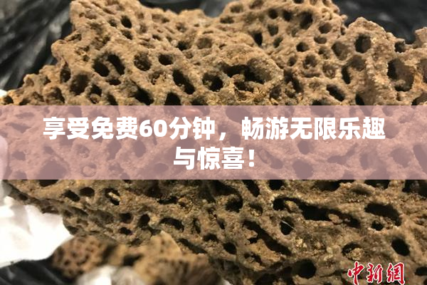 享受免费60分钟，畅游无限乐趣与惊喜！