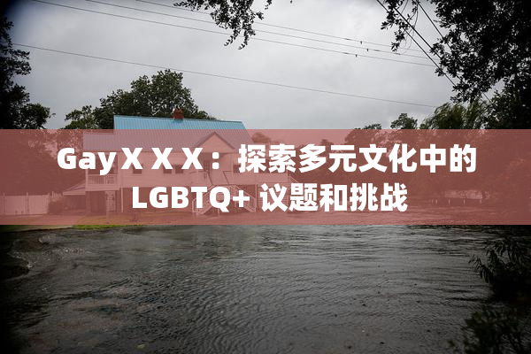 GayⅩⅩⅩ：探索多元文化中的 LGBTQ+ 议题和挑战