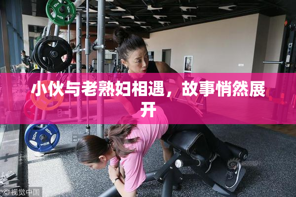 小伙与老熟妇相遇，故事悄然展开
