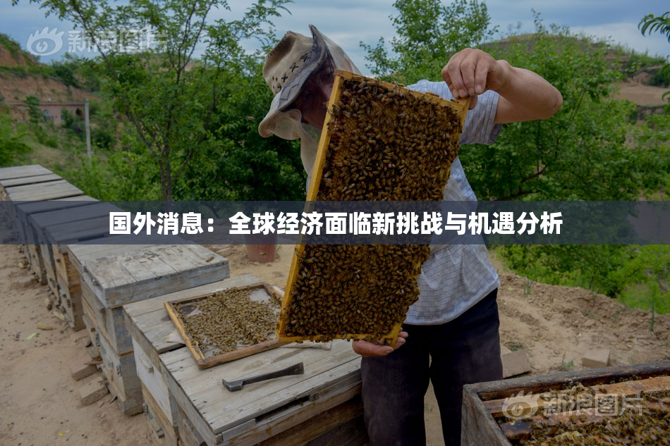 国外消息：全球经济面临新挑战与机遇分析