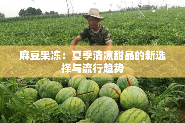 麻豆果冻：夏季清凉甜品的新选择与流行趋势