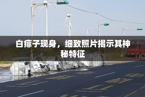白痱子现身，细致照片揭示其神秘特征