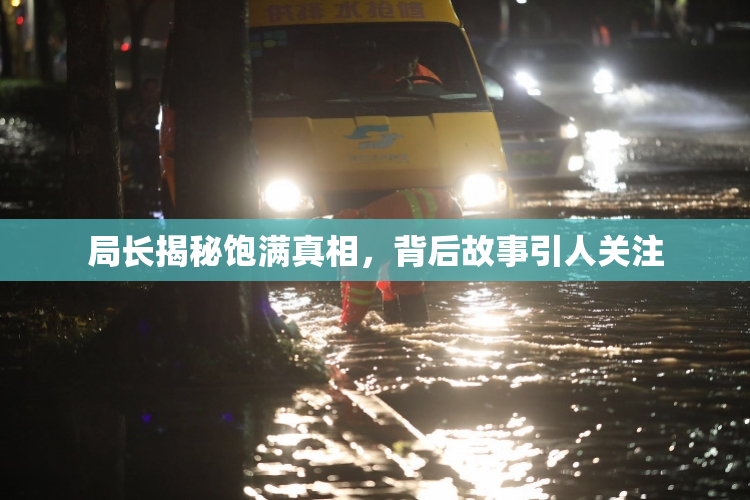局长揭秘饱满真相，背后故事引人关注