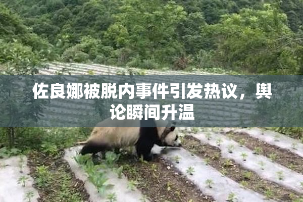 佐良娜被脱内事件引发热议，舆论瞬间升温