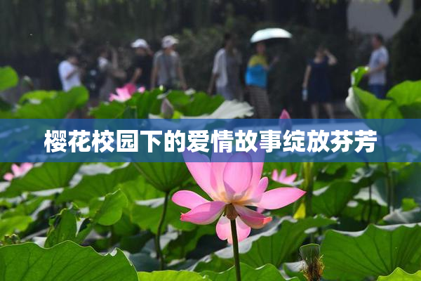 樱花校园下的爱情故事绽放芬芳