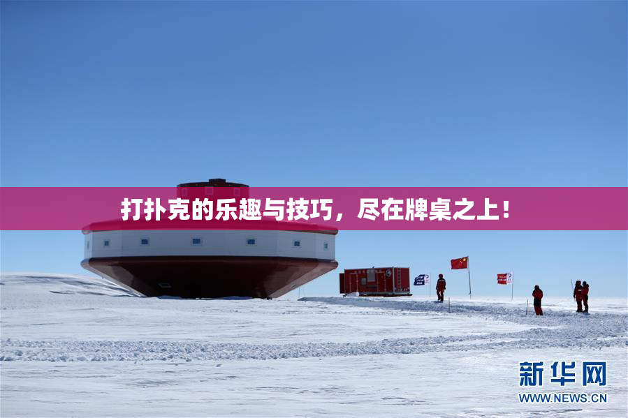 打扑克的乐趣与技巧，尽在牌桌之上！