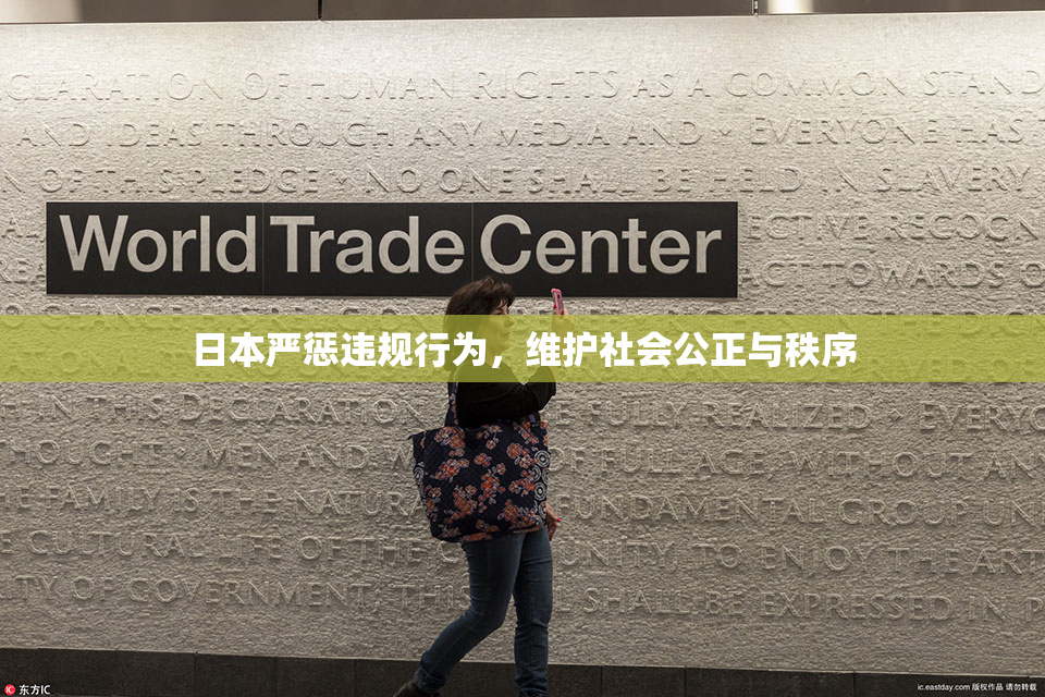 日本严惩违规行为，维护社会公正与秩序