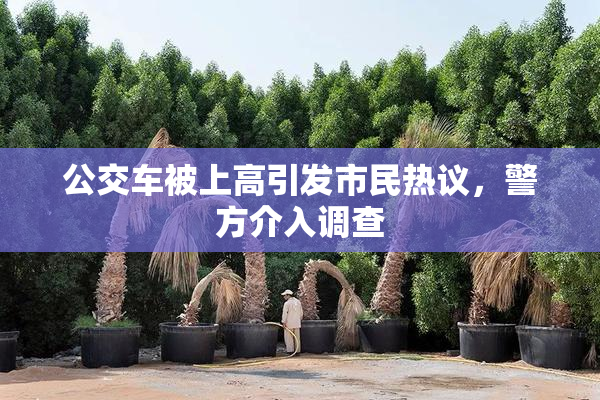 公交车被上高引发市民热议，警方介入调查