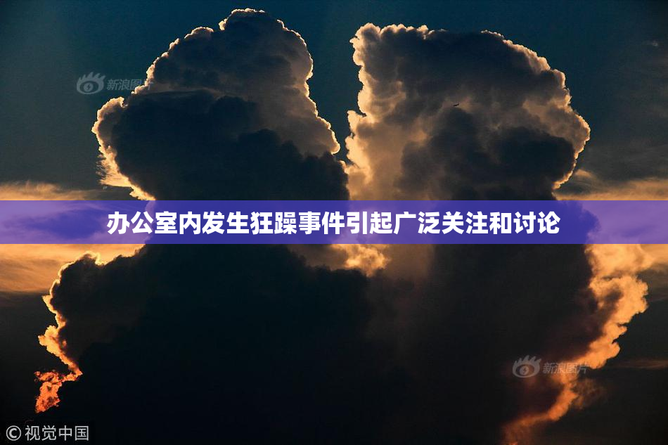 办公室内发生狂躁事件引起广泛关注和讨论