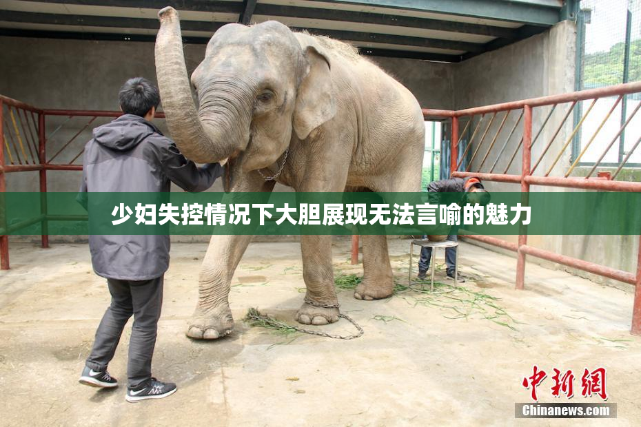 少妇失控情况下大胆展现无法言喻的魅力