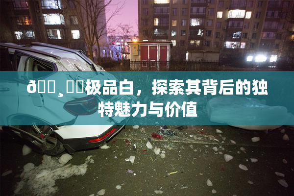 🌸‌✿极品白，探索其背后的独特魅力与价值