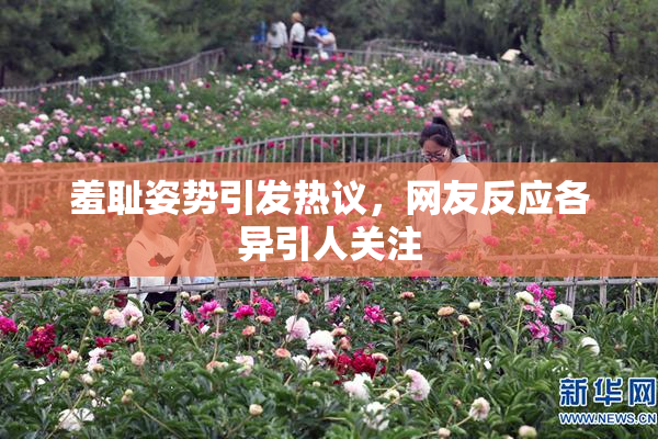 羞耻姿势引发热议，网友反应各异引人关注