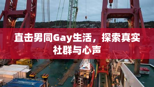 直击男同Gay生活，探索真实社群与心声